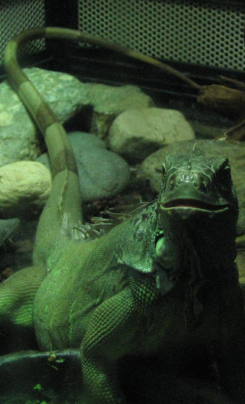 2008-09-27_Mystic_Aquarium 214_1.jpg